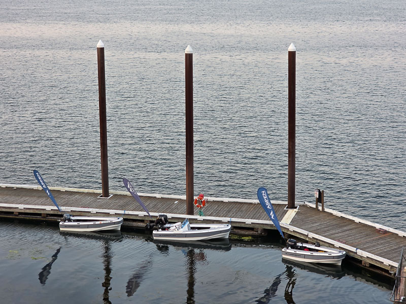 Docked Carbon Cats