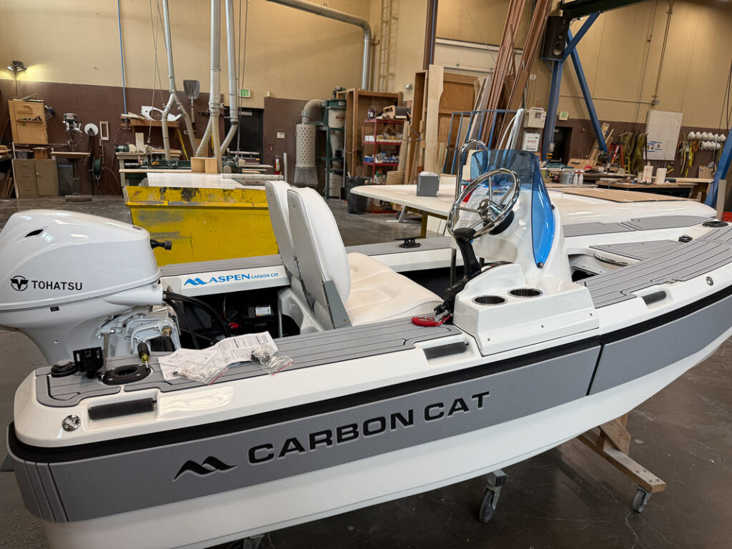 Aspen Carbon Cat