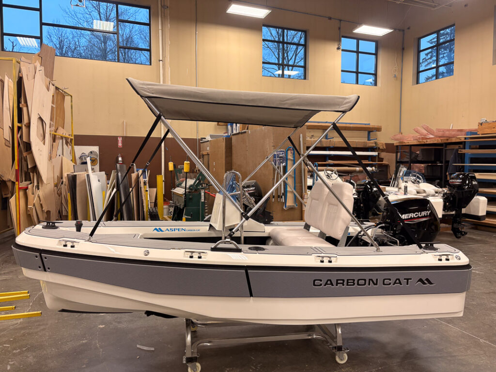 Aspen Carbon Cat