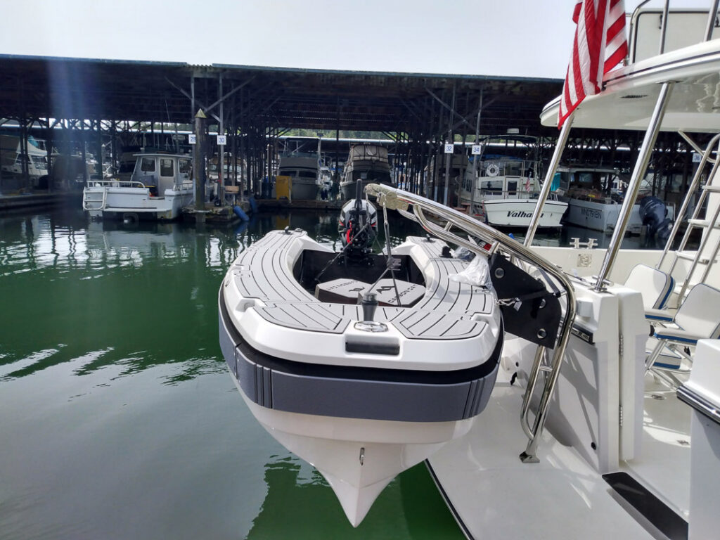 Aspen Carbon Cat T10