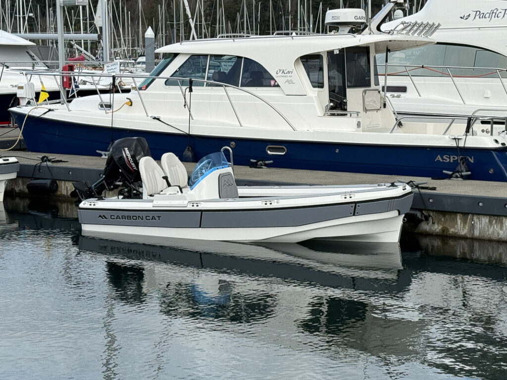 Aspen Carbon Cat T13